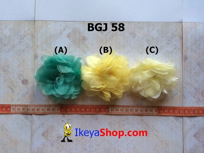 BGJ 58  large2